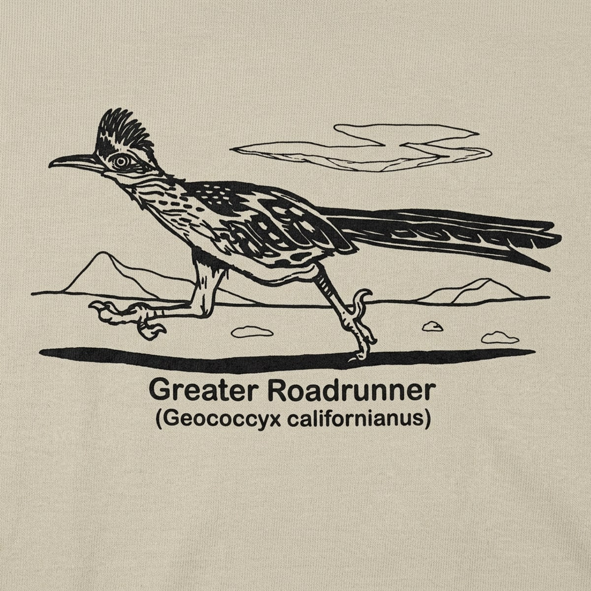 Greater Roadrunner Vintage Desert Bird Illustration