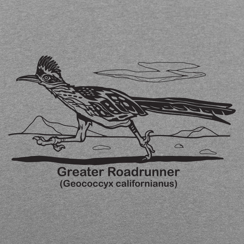 Greater Roadrunner Vintage Desert Bird Illustration