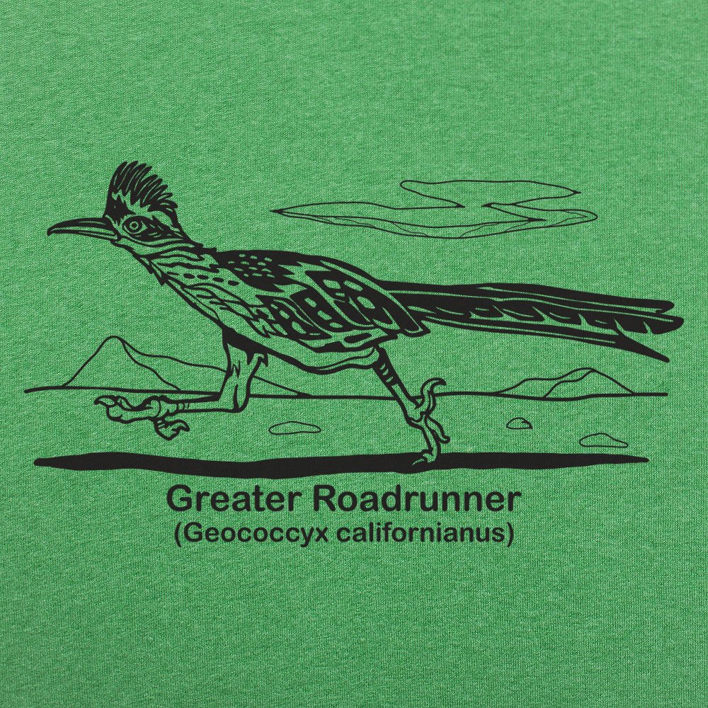 Greater Roadrunner Vintage Desert Bird Illustration