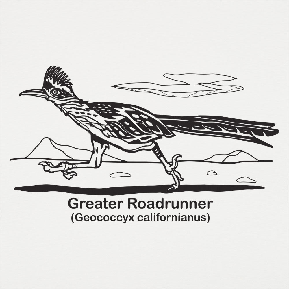 Greater Roadrunner Vintage Desert Bird Illustration