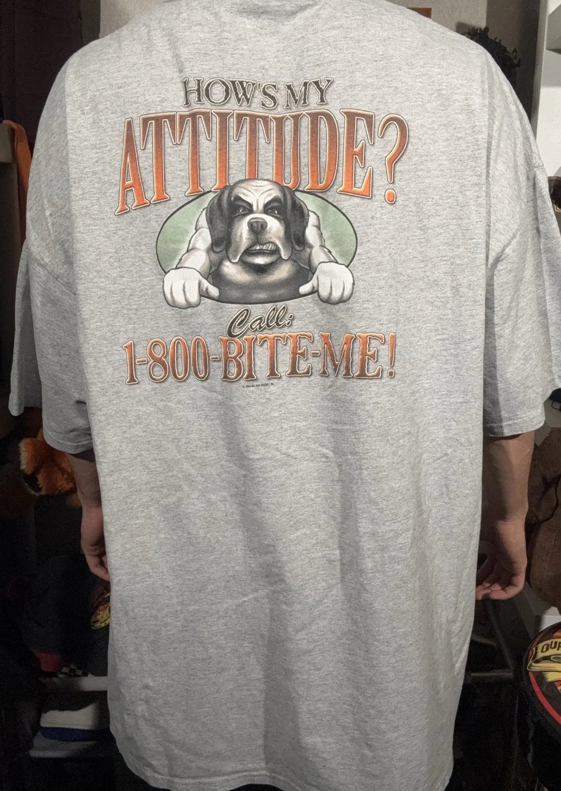 Y2k Funny Comedy Big Dogs How’s My Attitude? Grey Oversized Baggy Tshirt XXXXL