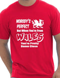 Proud To Be Welsh Wales Cymru Gift Mens T-shirt Size S-XXL