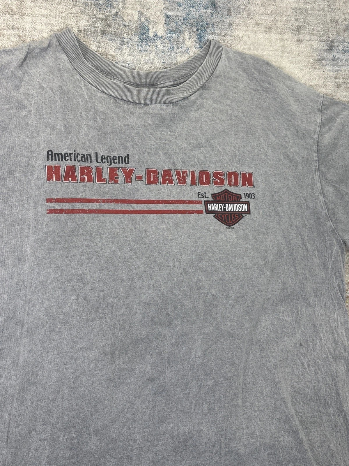 Harley-Davidson Gray T Shirt Mens XL Y2K 90s Grunge USA Made Vintage Style