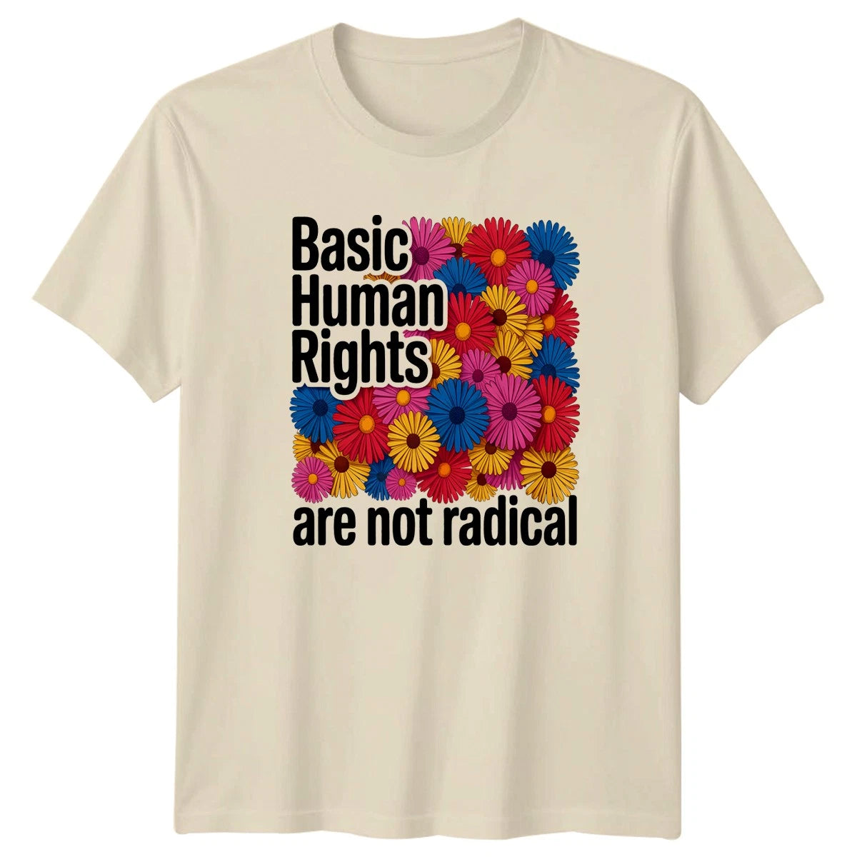 Basic Human Rights Are Not Womens T-Shirt Stylish Social Justice Gift For Her