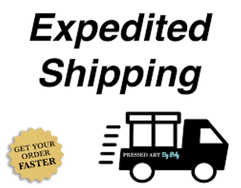 Faster shipping or  Add a custom name/text