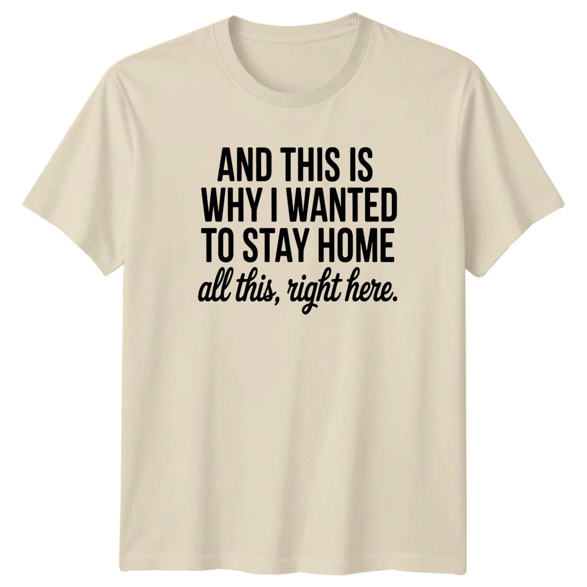 And This Is Why I Wanted T-Shirt Introvert Homebody Lifestyle Gift