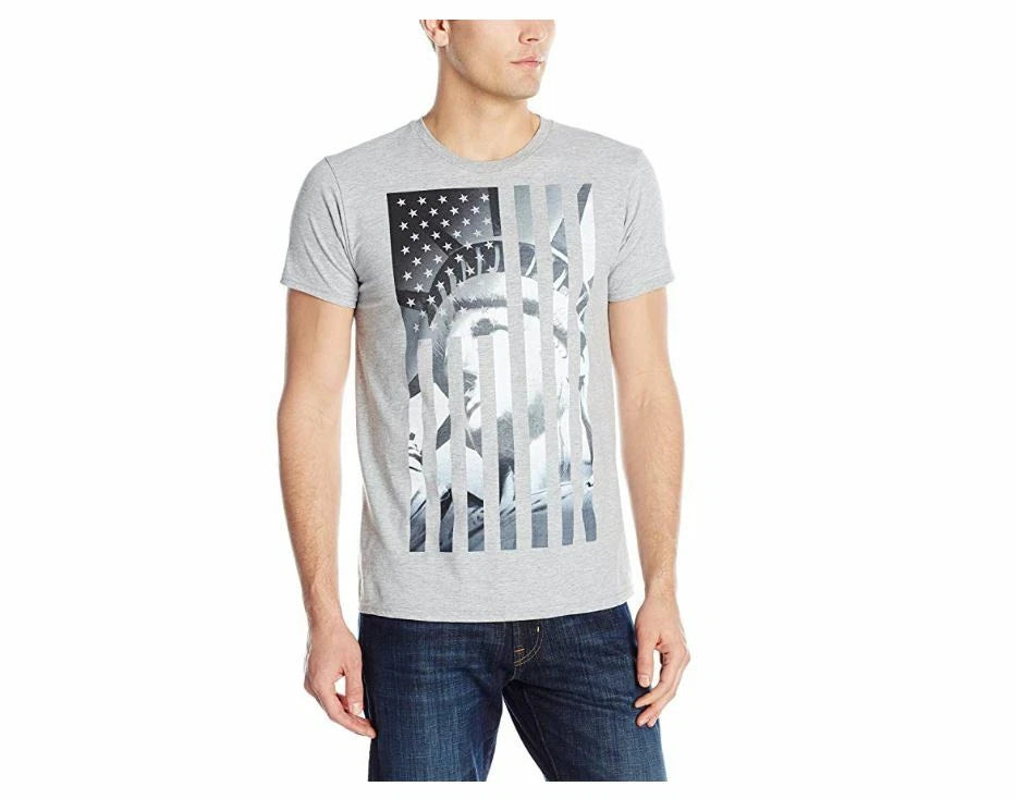 Men's Liberty Flag Graphic T-shirt Americana Collection Liberty Flag Gray Large