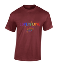 LOVE IS LOVE PRIDE MENS T SHIRT LGBTQ GAY PRIDE RAINBOW FLAG LESBIAN COOL TOP