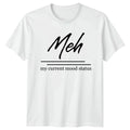 Meh My Current Mood Status T-Shirt Introvert Birthday Gift For Him And Her