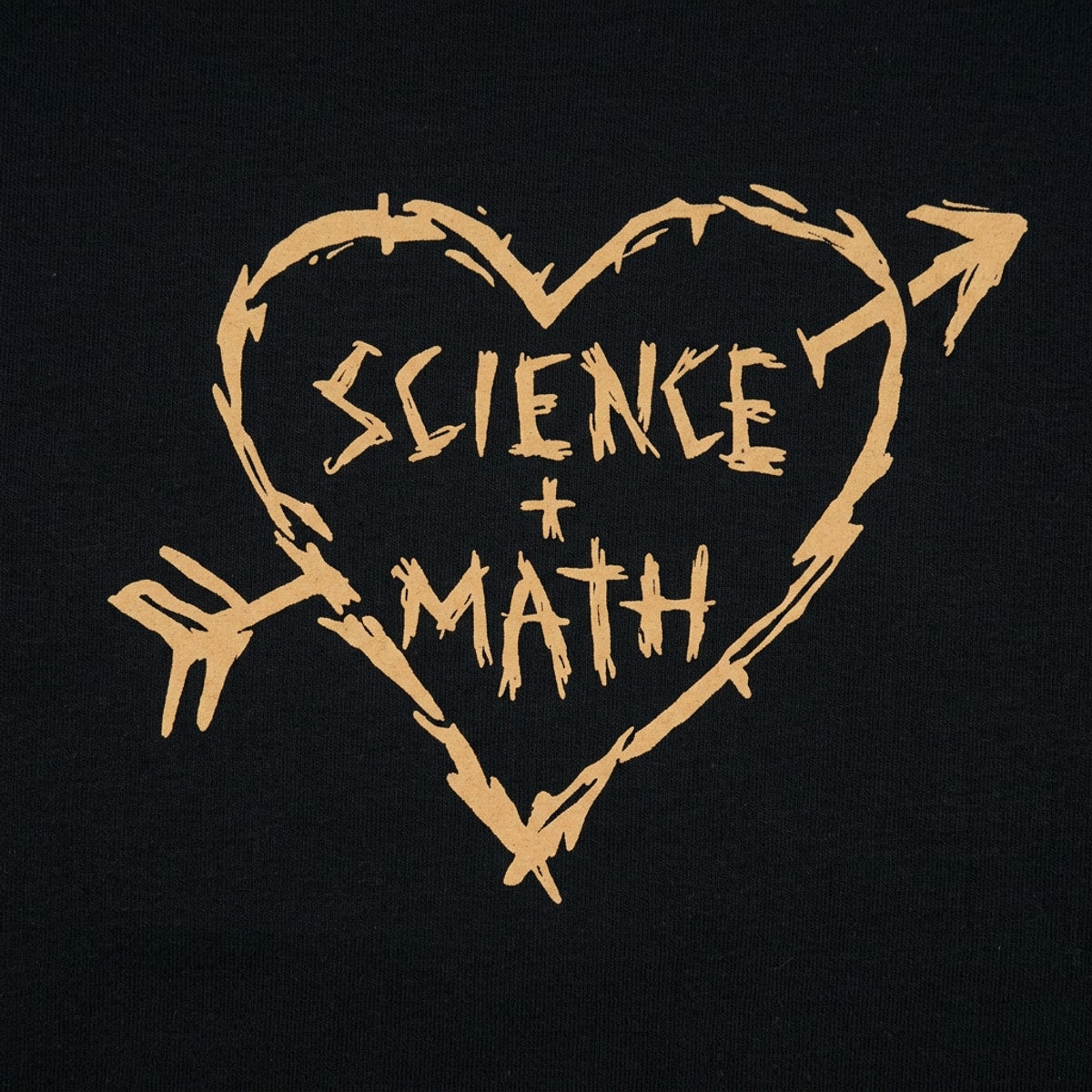 Science Loves Math Carved Heart with Arrow