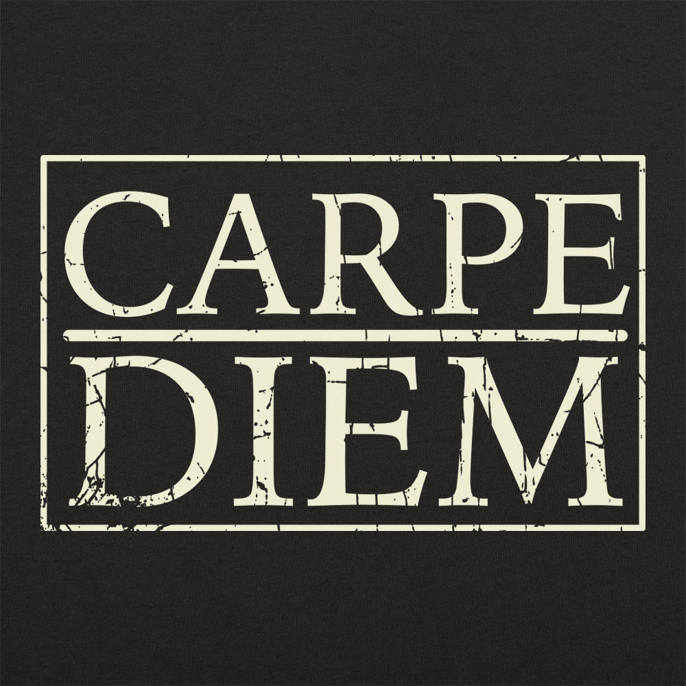 Seize the Day Carpe Diem Quote