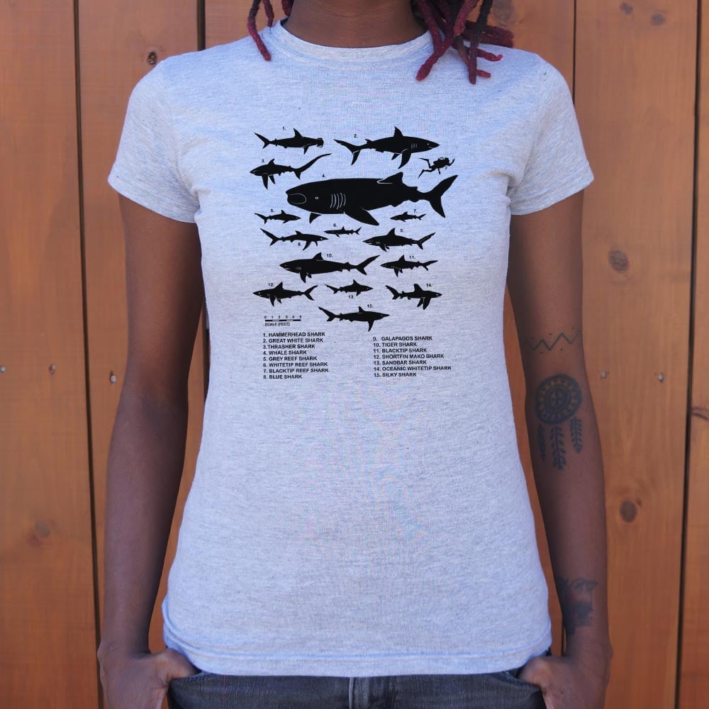 Shark Chart Species Size Comparison Diagram