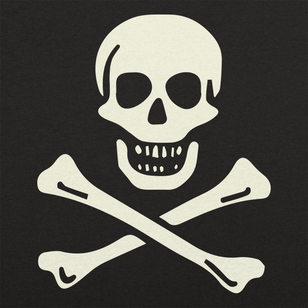 Skull n' Crossbones Jolly Roger Pirate Flag