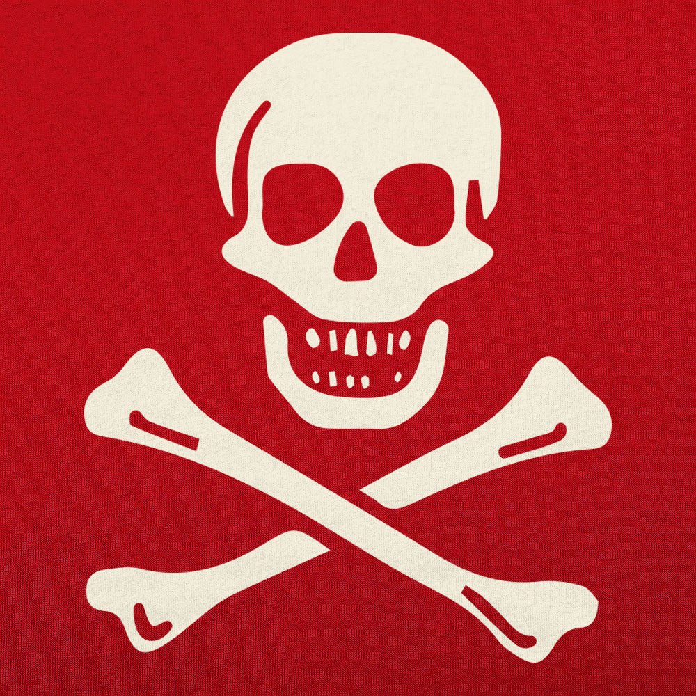 Skull n' Crossbones Jolly Roger Pirate Flag
