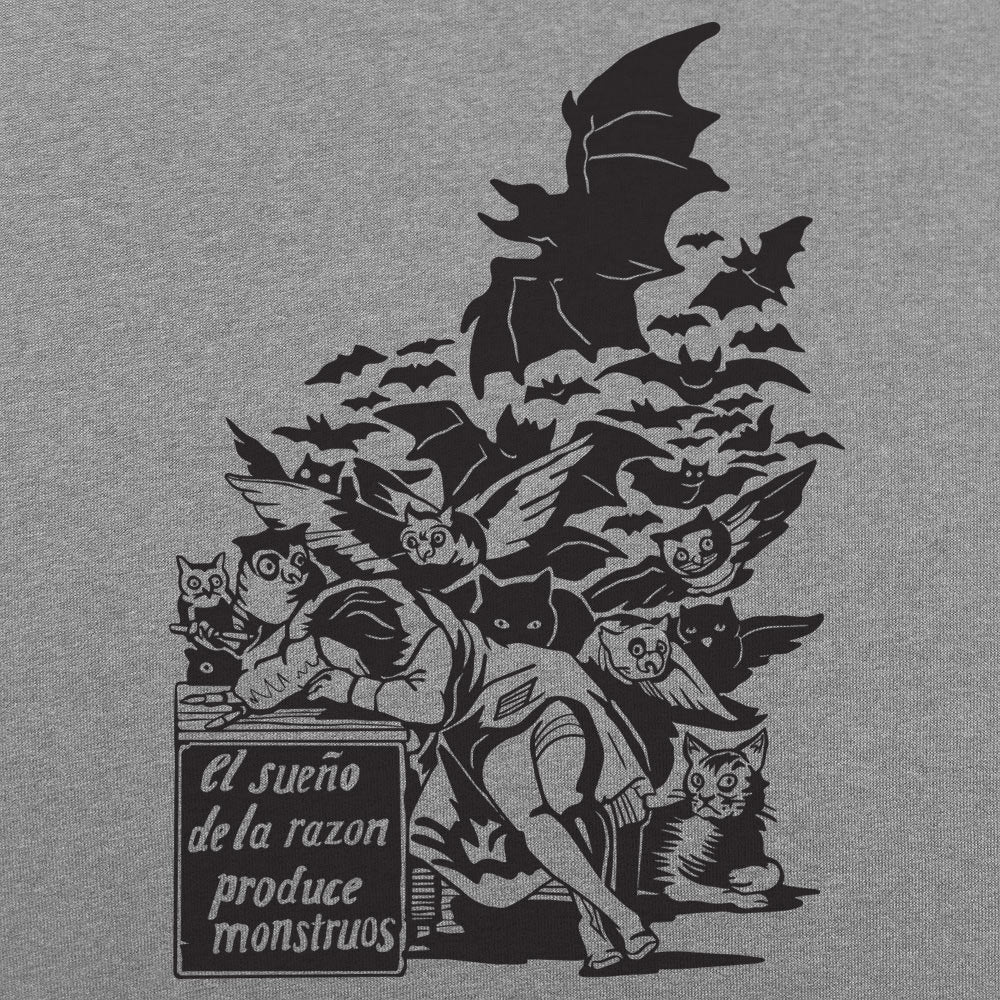 Sleep of Reason Produces Monsters, Goya Art with Owls and Bats