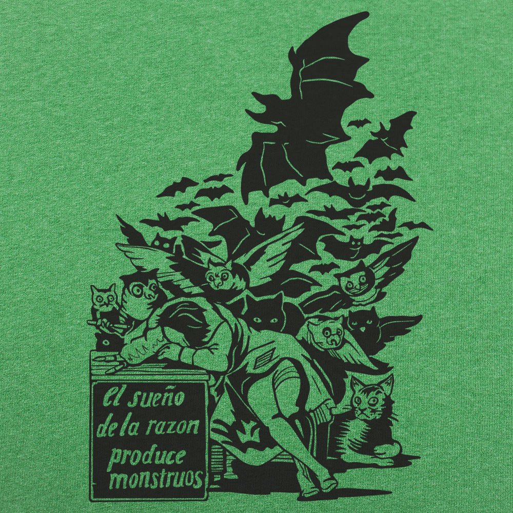 Sleep of Reason Produces Monsters, Goya Art with Owls and Bats