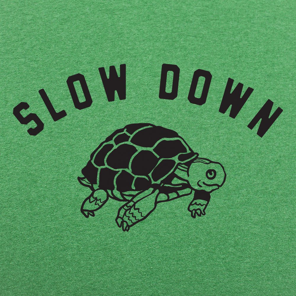 Slow Down Turtle