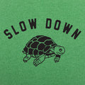 Slow Down Turtle