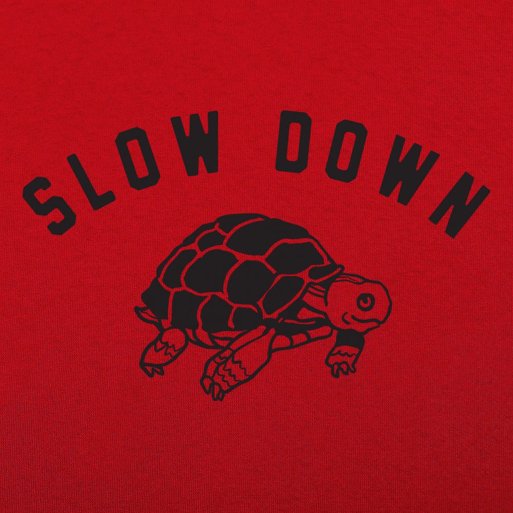 Slow Down Turtle