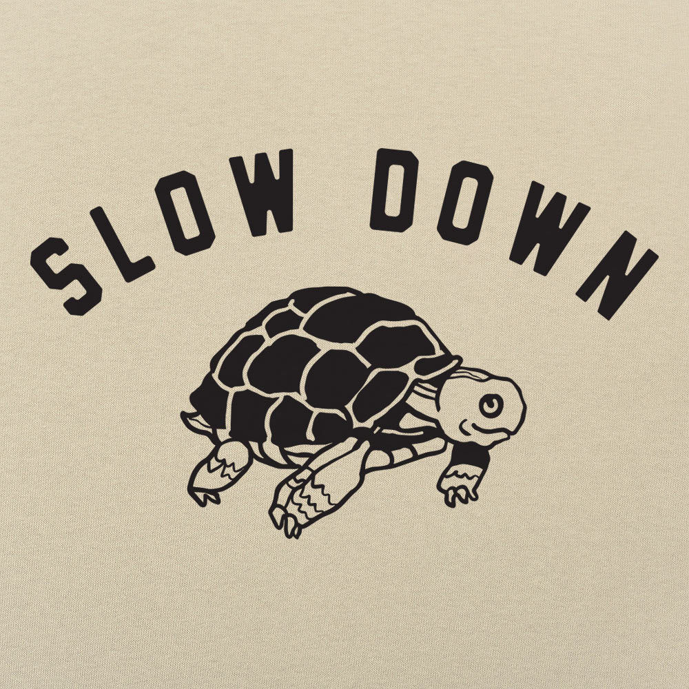 Slow Down Turtle