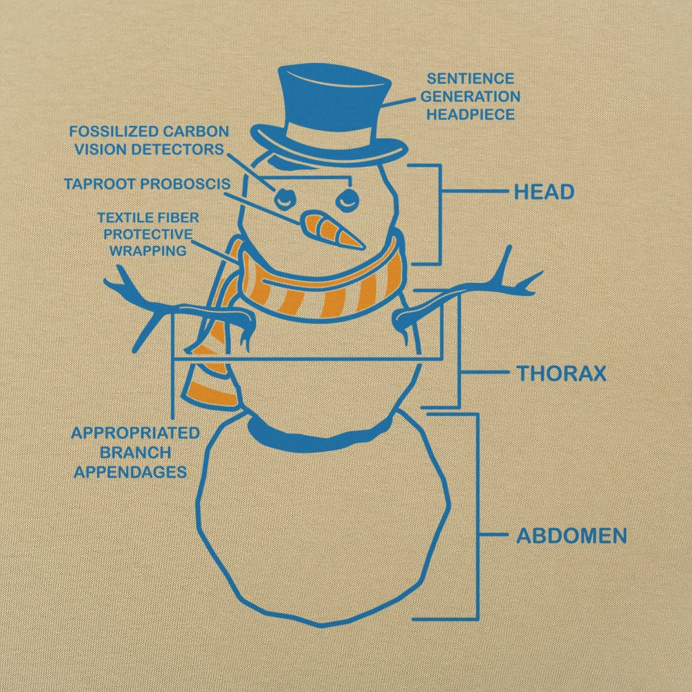 Snowman Anatomy Diagram