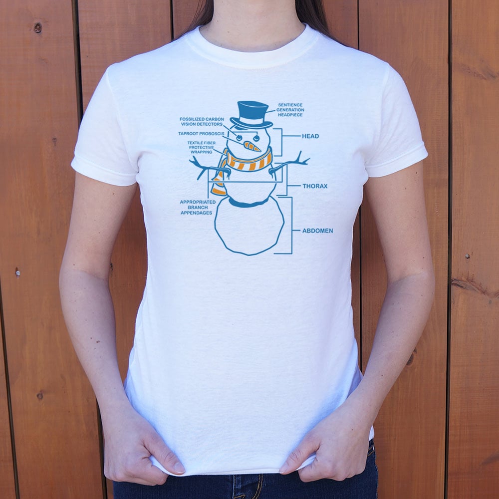Snowman Anatomy Diagram