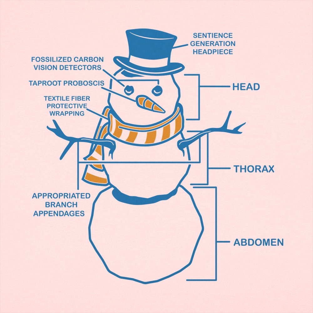 Snowman Anatomy Diagram