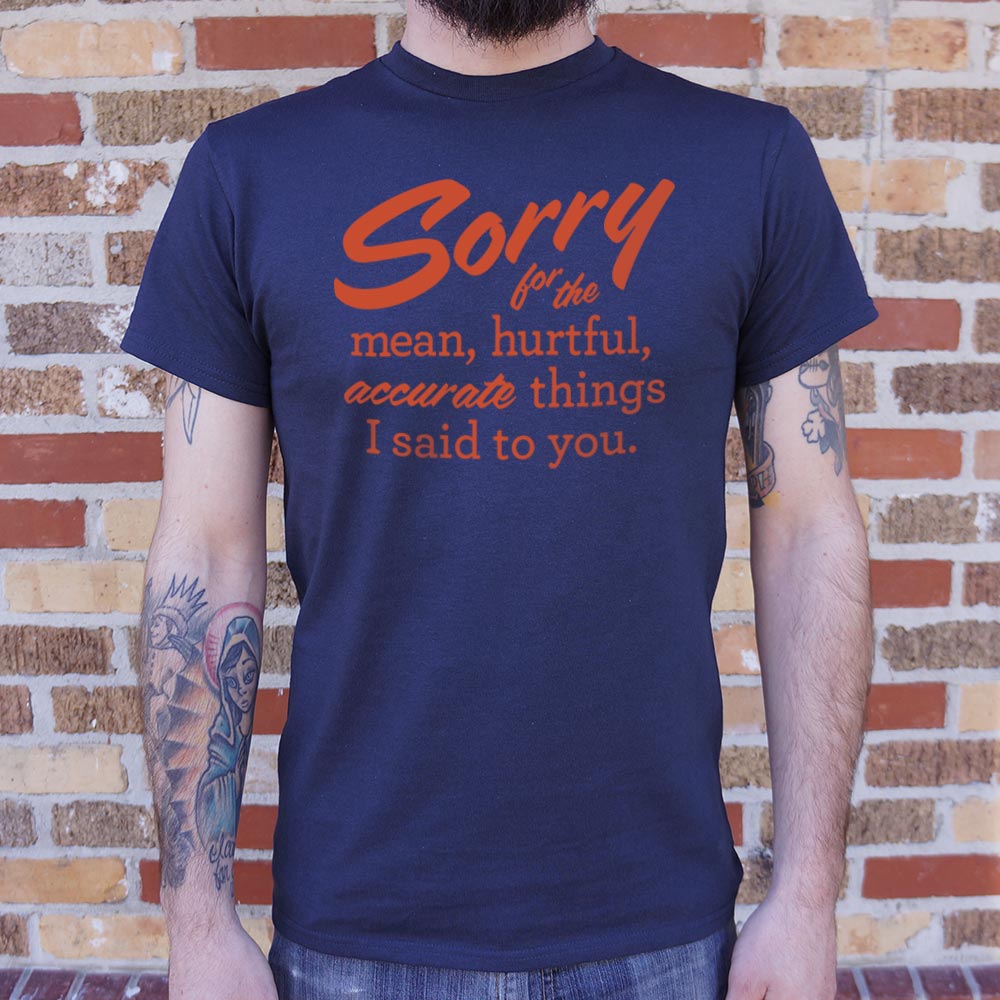 Sorry for the Mean Hurtful Accurate Things I Said to You