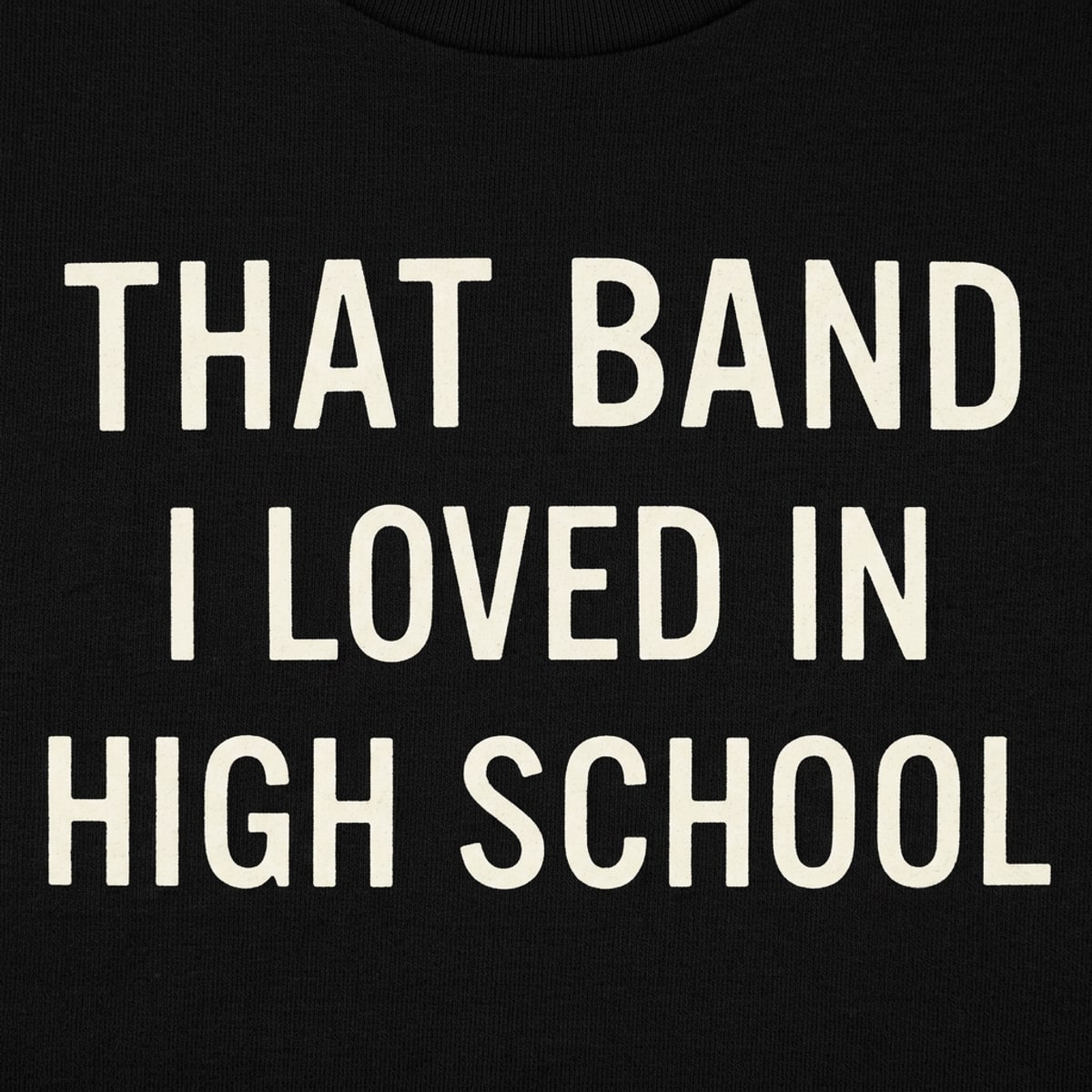 That Band I Loved in High School
