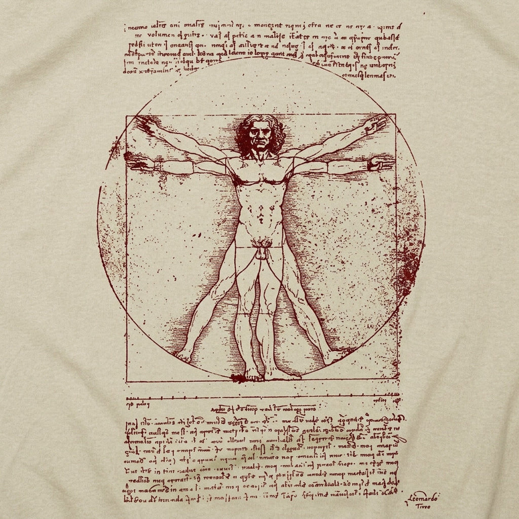 The Vitruvian Man Da Vinci Anatomy Sketch