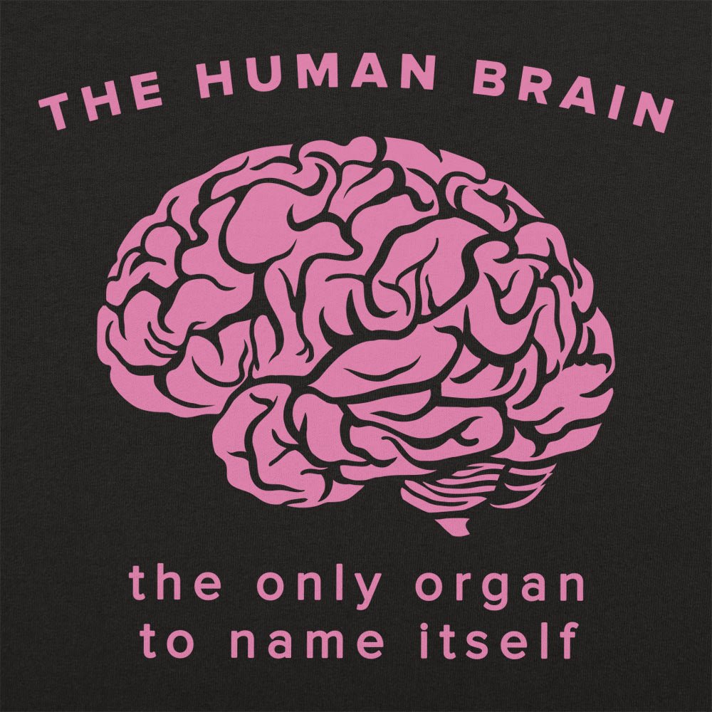 The Human Brain, the Only Organ to Name Itself