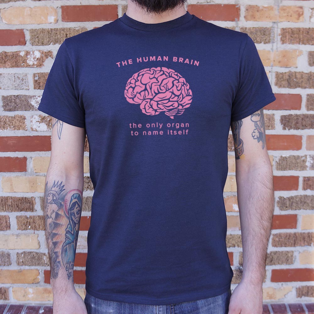 The Human Brain, the Only Organ to Name Itself