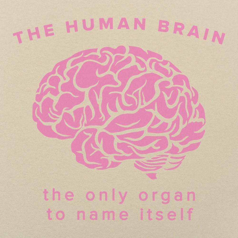The Human Brain, the Only Organ to Name Itself