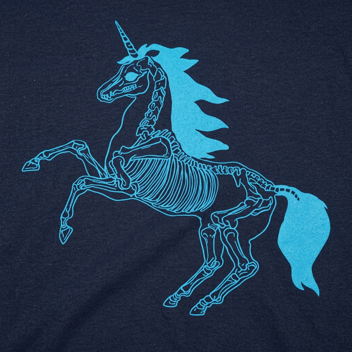 Unicorn Skeleton Anatomy Graphic