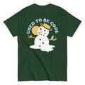 Used To Be Cool Men's Classic Tee