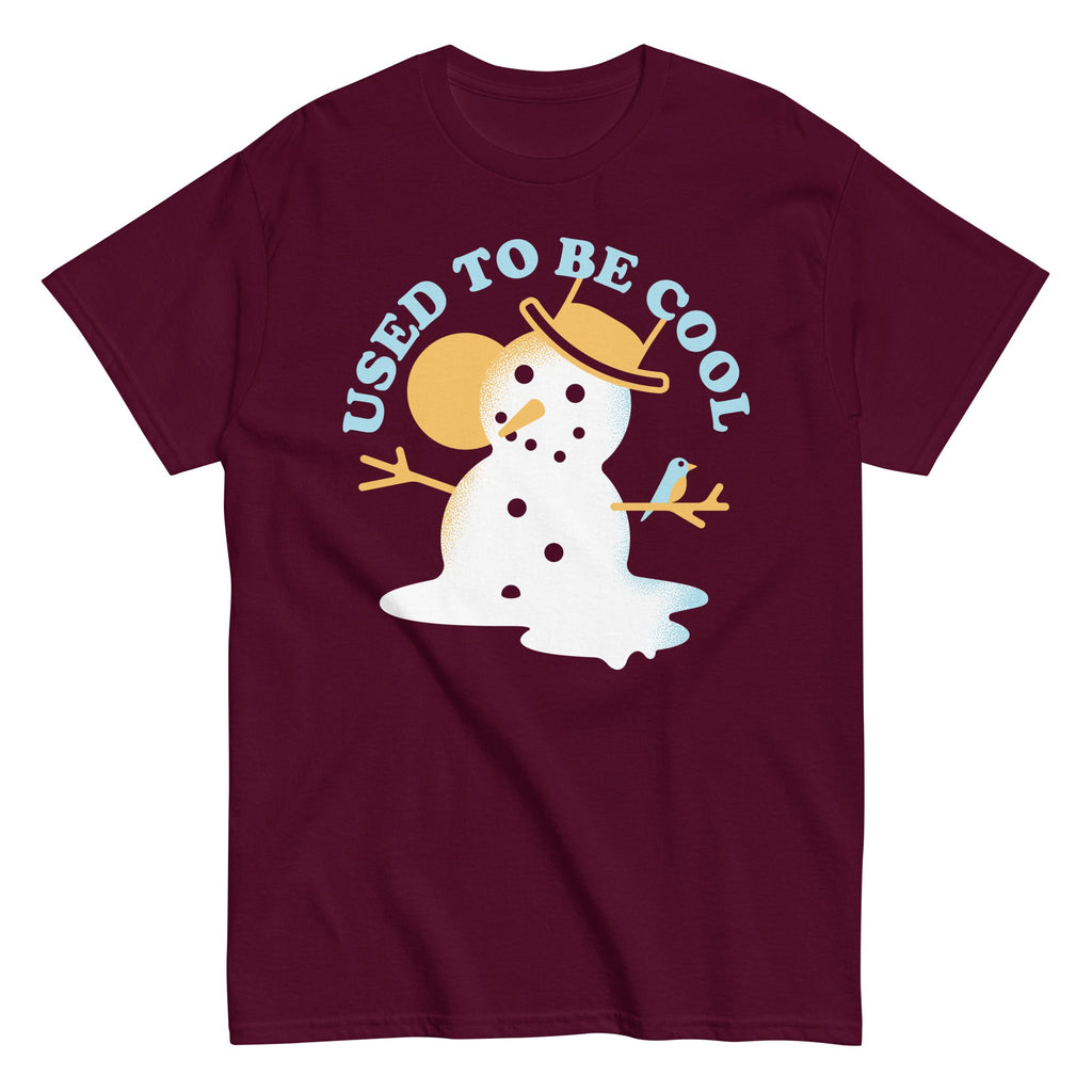 Used To Be Cool Men's Classic Tee