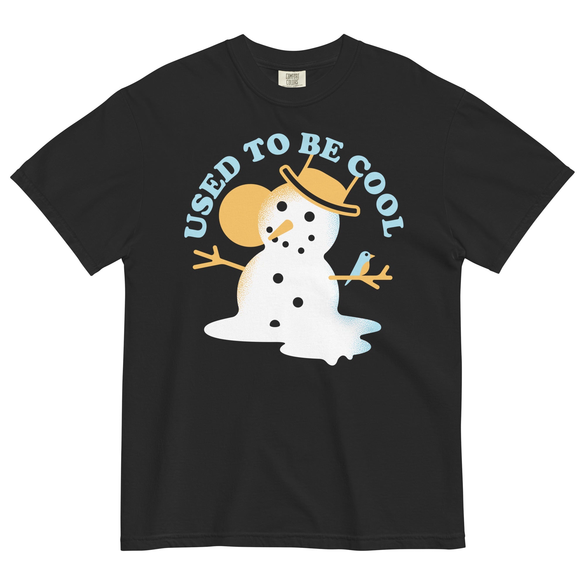 Used To Be Cool Men's Relaxed Fit Tee