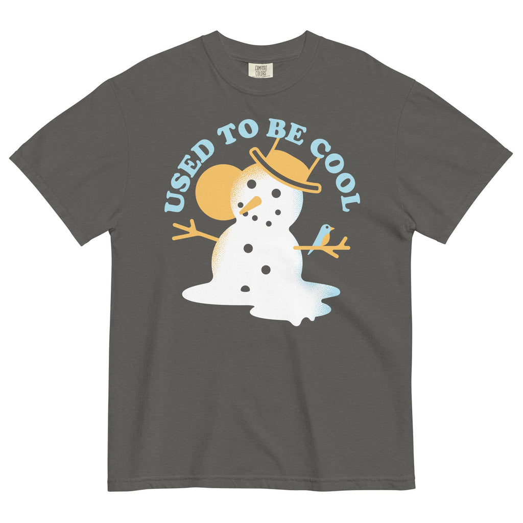 Used To Be Cool Men's Relaxed Fit Tee