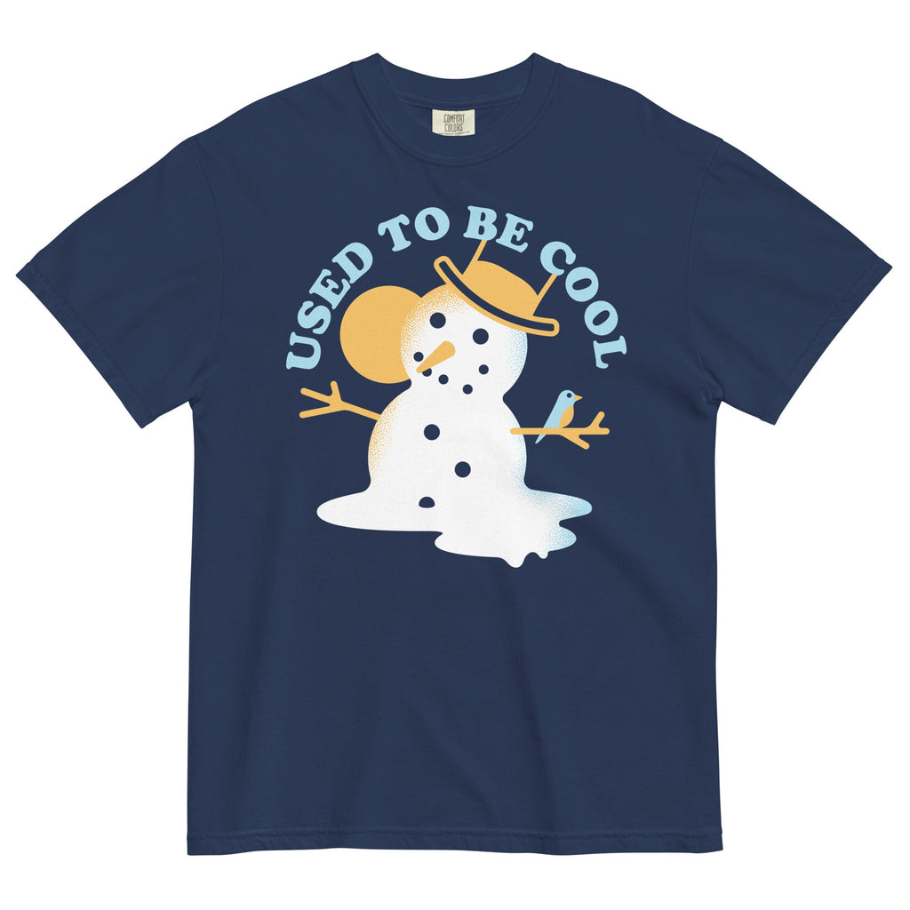 Used To Be Cool Men's Relaxed Fit Tee