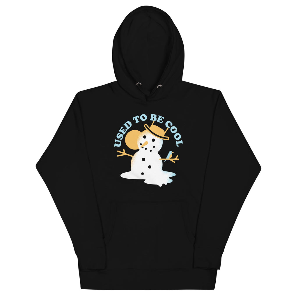 Used To Be Cool Unisex Hoodie
