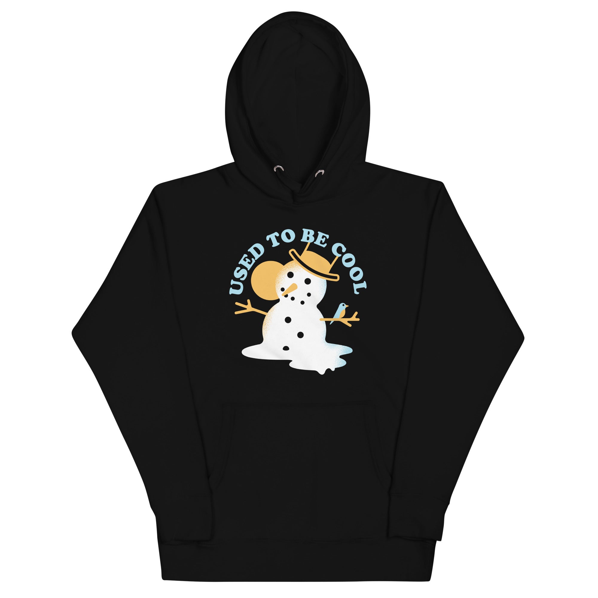 Used To Be Cool Unisex Hoodie