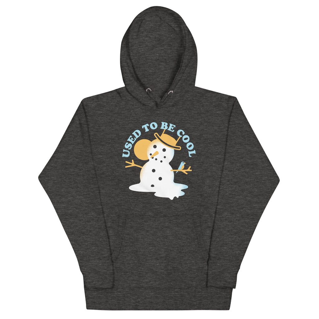 Used To Be Cool Unisex Hoodie