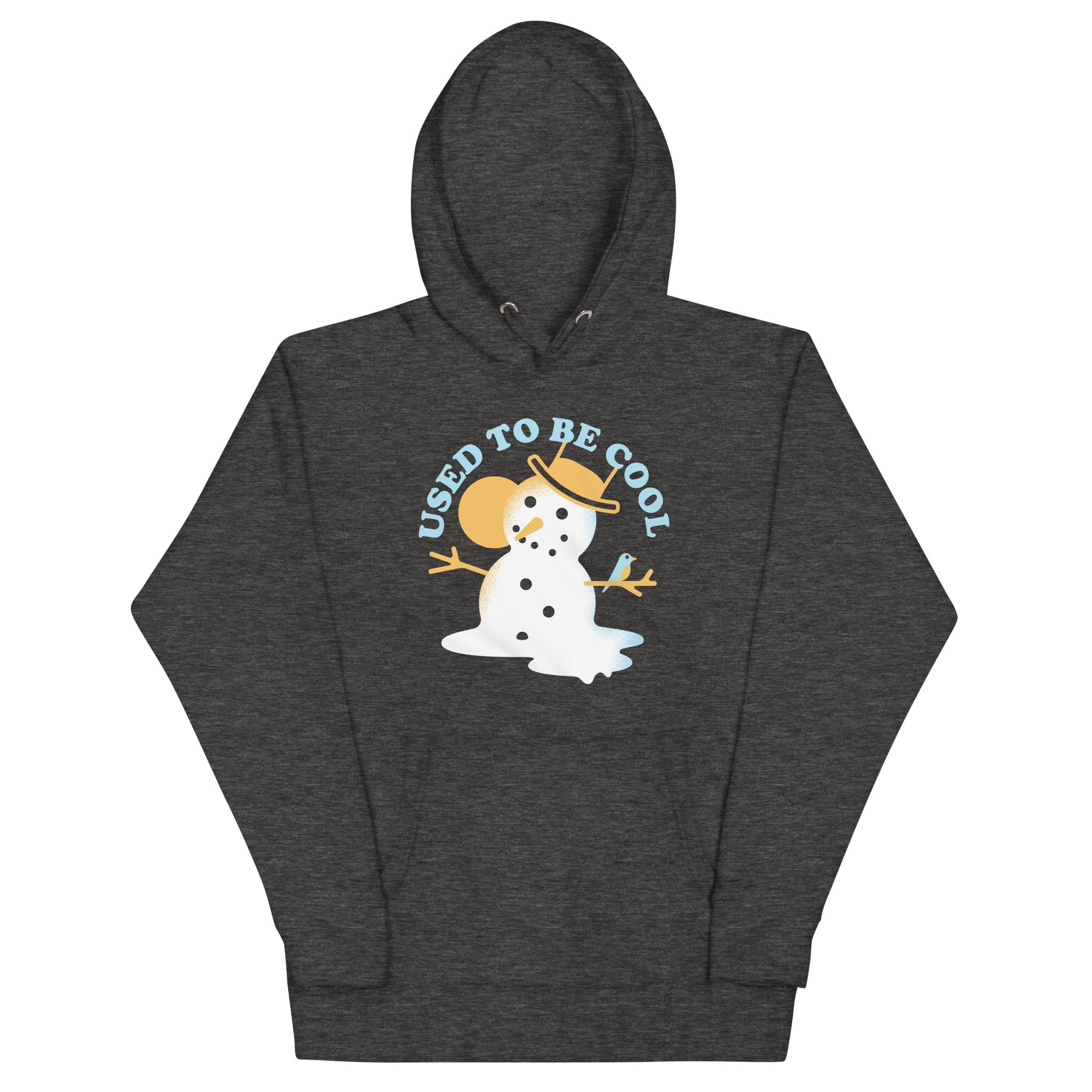 Used To Be Cool Unisex Hoodie