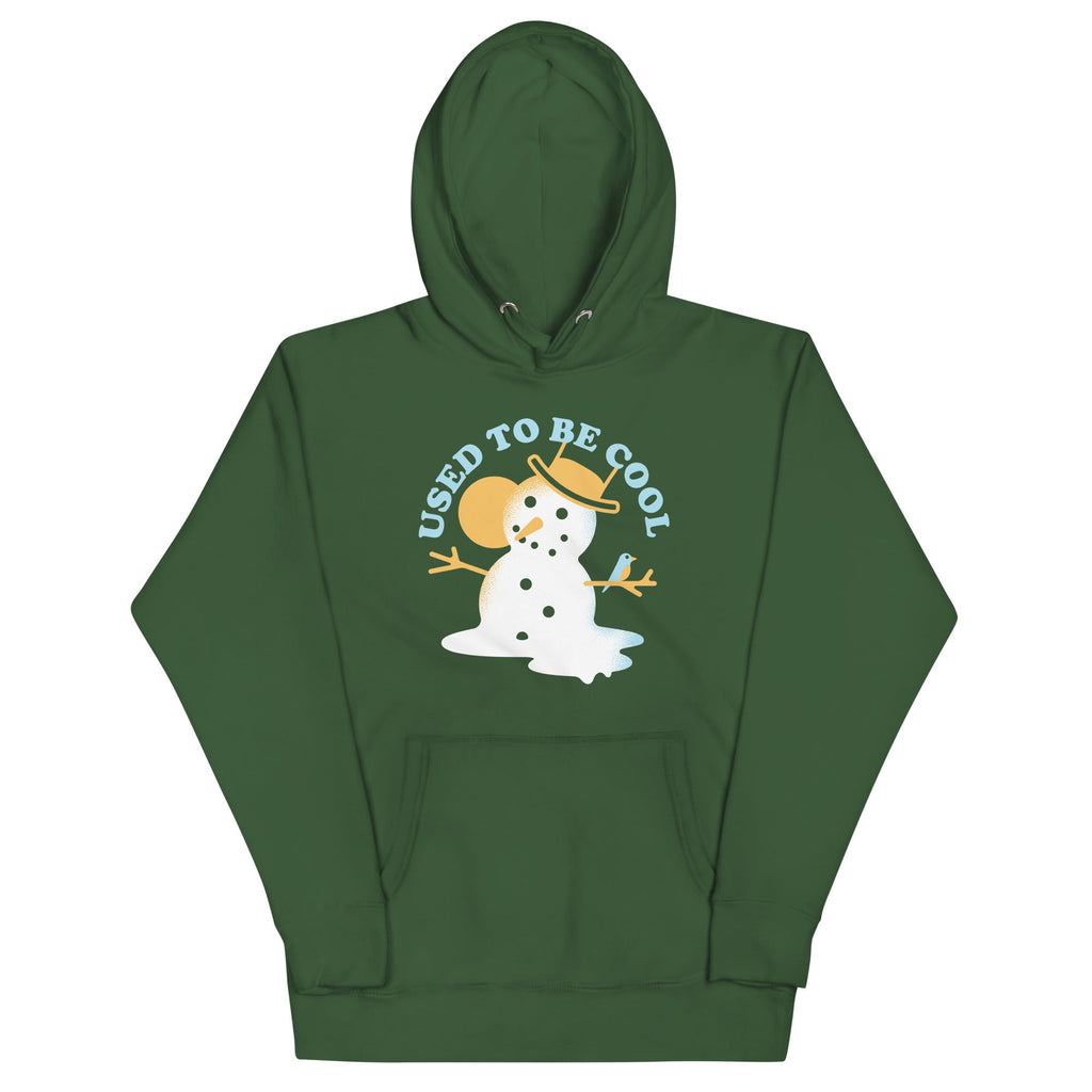 Used To Be Cool Unisex Hoodie