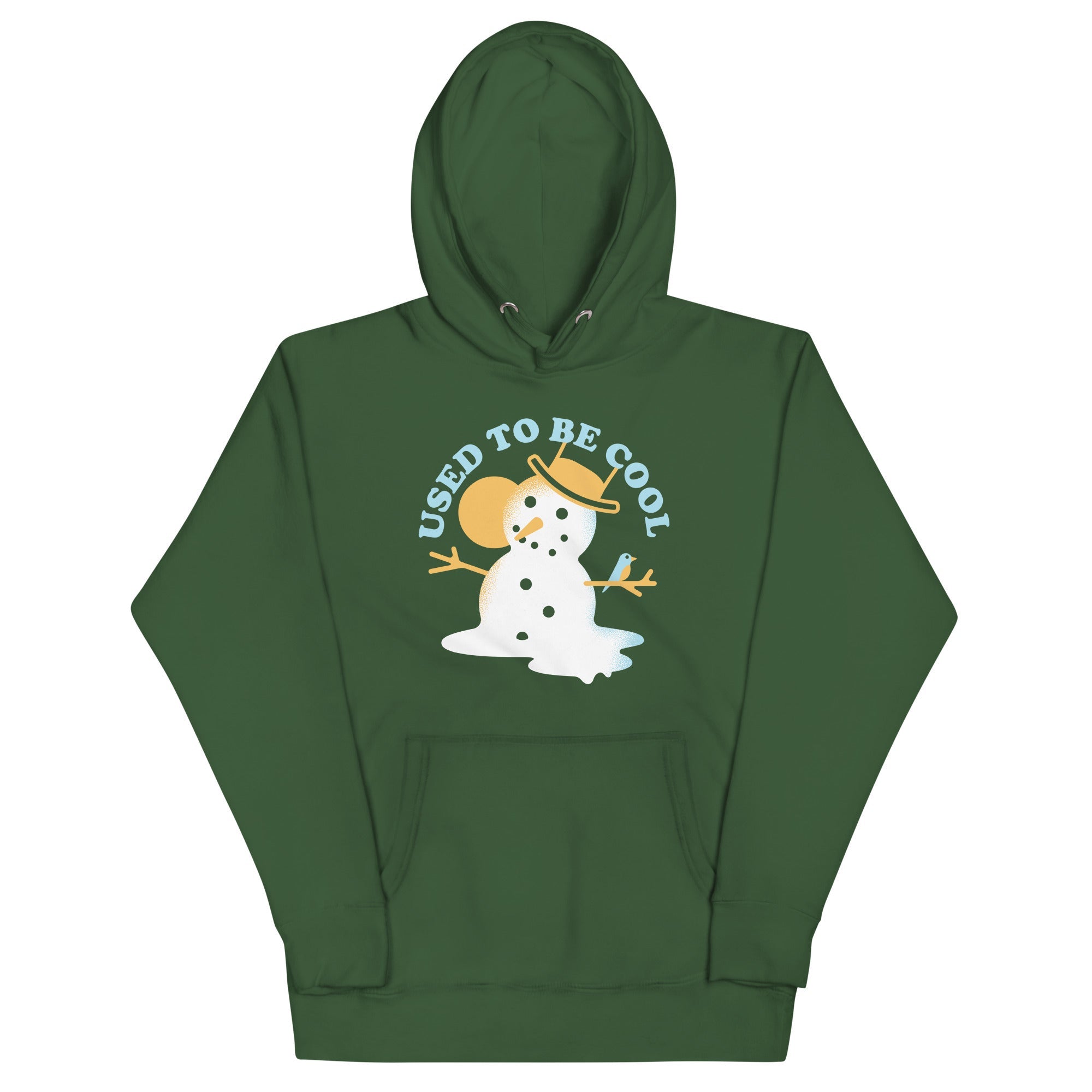 Used To Be Cool Unisex Hoodie