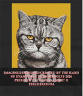 Debbie Johnson 90 Day The Single Life Meh Cat shirt