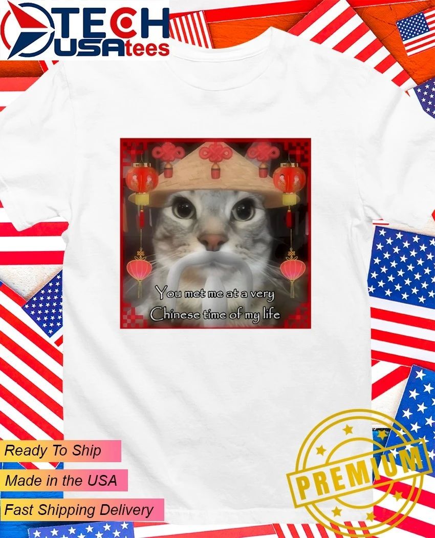 You met me at a very Chinese time of my life shirt