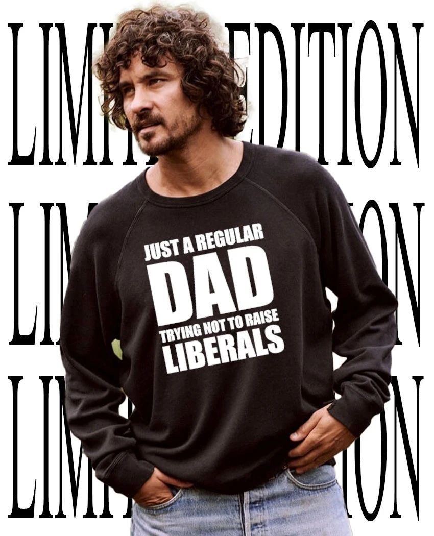 Just a regular dad trying not to raise liberals shirt