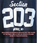 New York Yankees Section 203 Bronx NY shirt