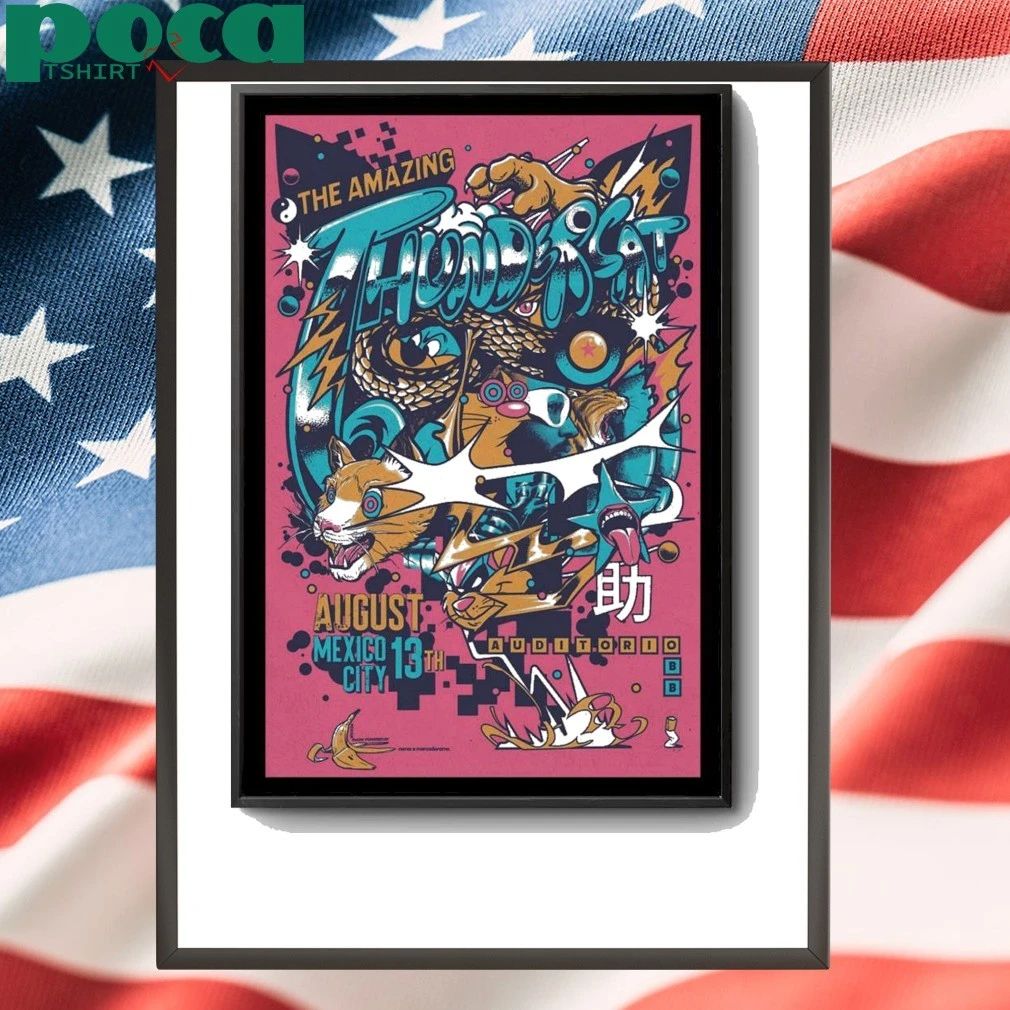 Thundercat August 13, 2025 Auditorio BB, Mexico City, Mexico Poster shirt